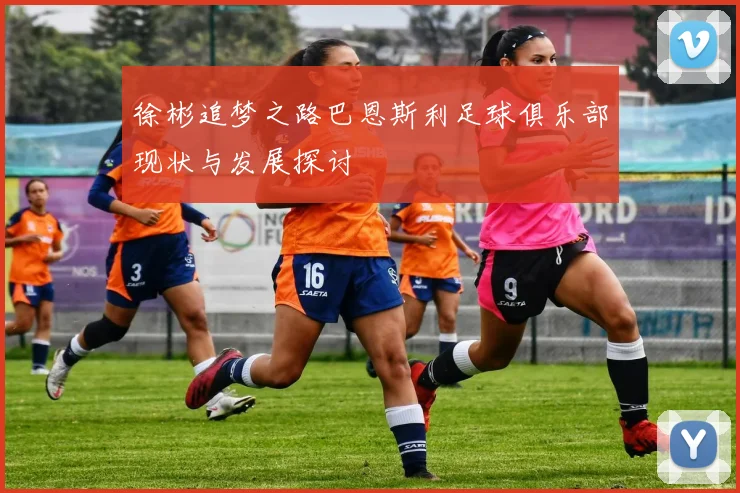 徐彬追梦之路巴恩斯利足球俱乐部现状与发展探讨